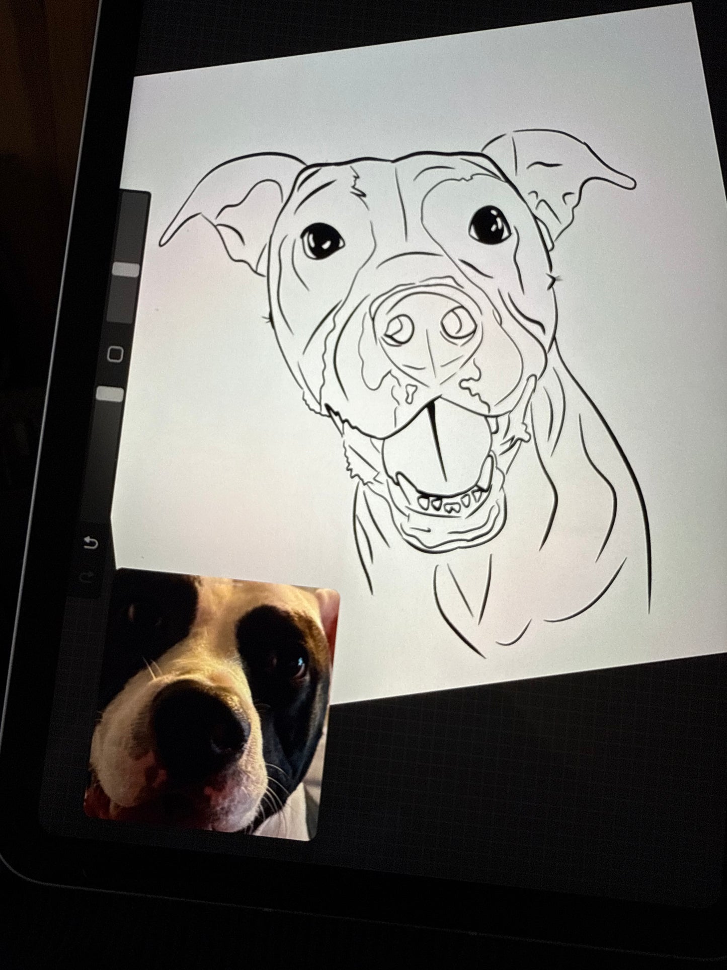 Pet Portrait Apparel