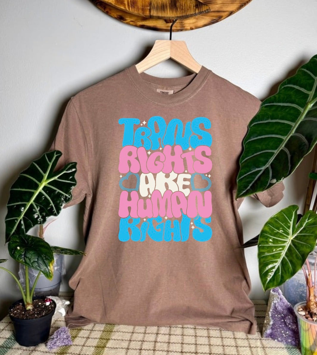 Trans Rights Comfort Colors Tee
