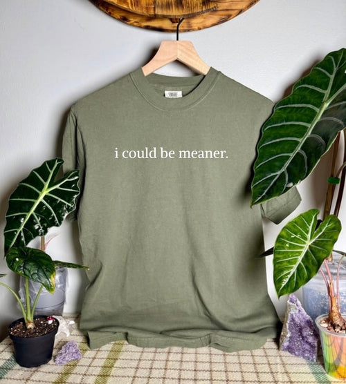 I Could Be Meaner Comfort Colors Tee