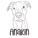 NyteSky Pet Portrait Apparel