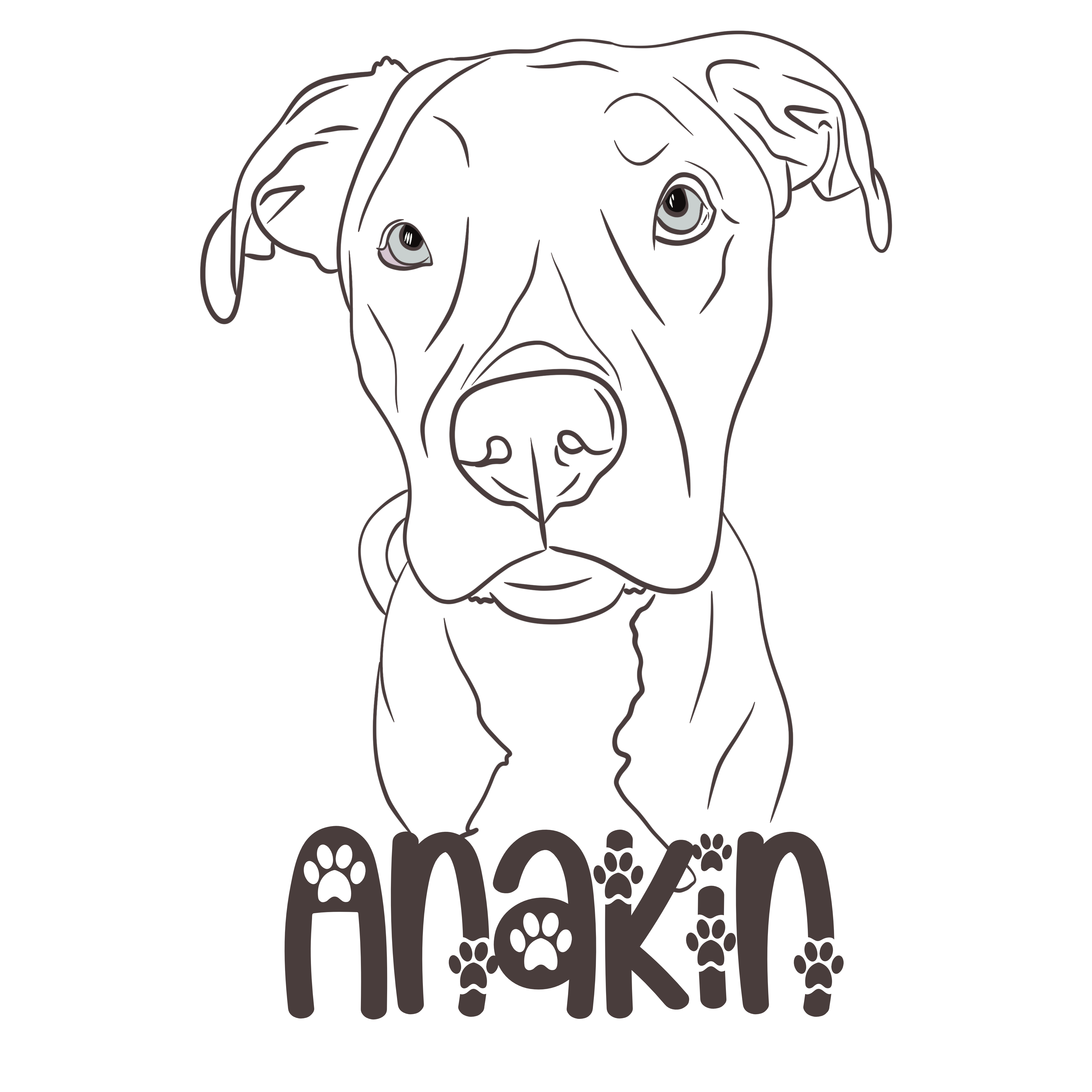 NyteSky Pet Portrait Apparel