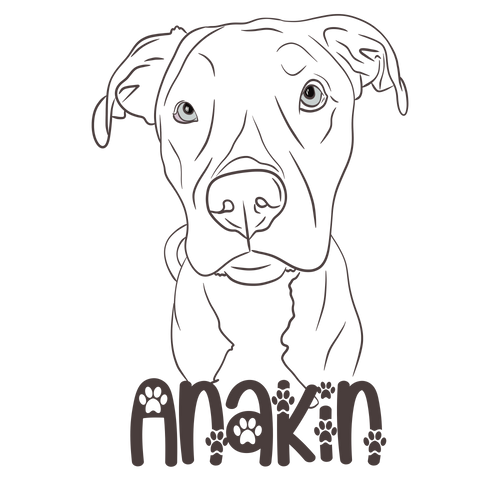 NyteSky Pet Portrait Apparel