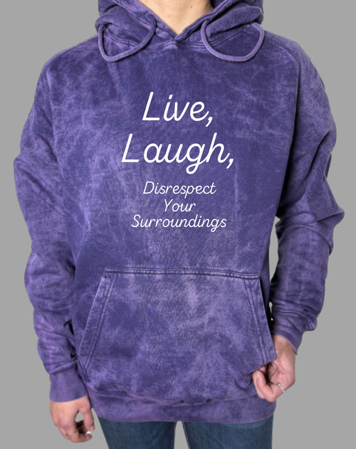 Disrespect Your Surroundings Vintage Wash Hoodie