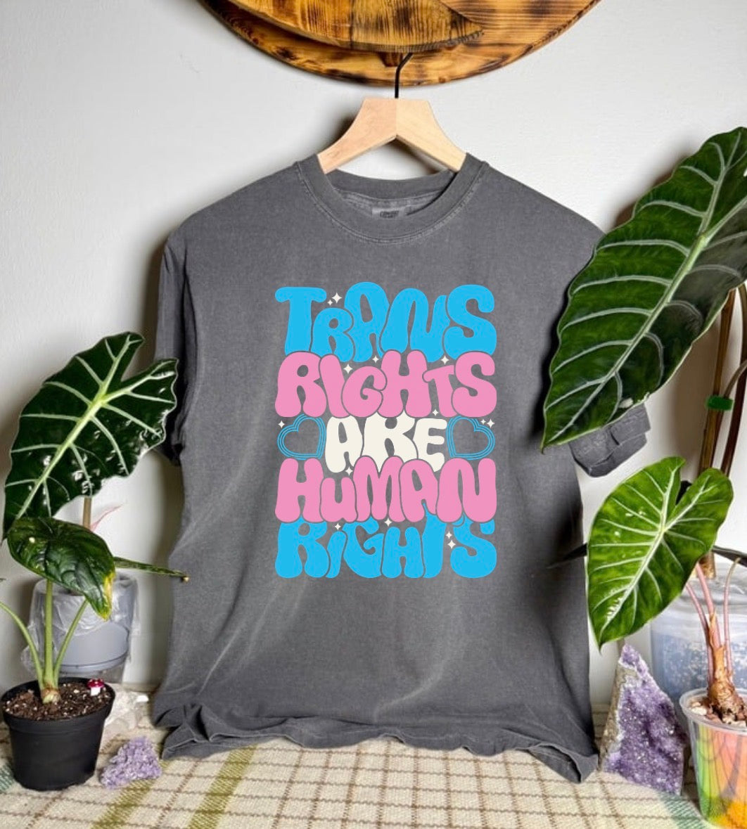Trans Rights Comfort Colors Tee