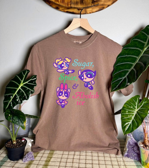 Abolish Ice Comfort Colors Tee