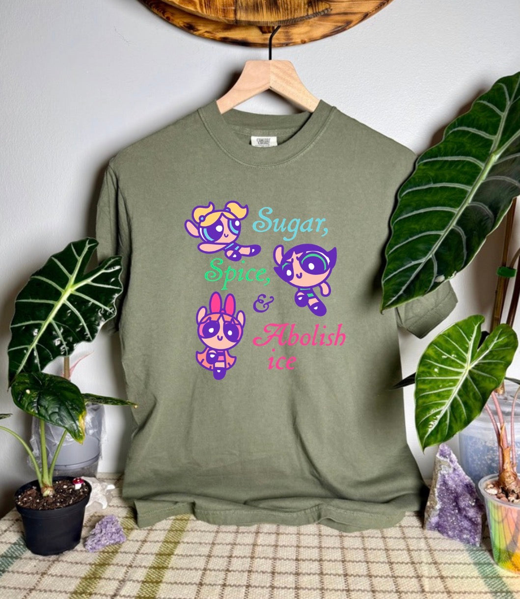 Abolish Ice Comfort Colors Tee