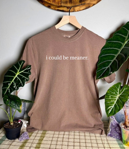 I Could Be Meaner Comfort Colors Tee