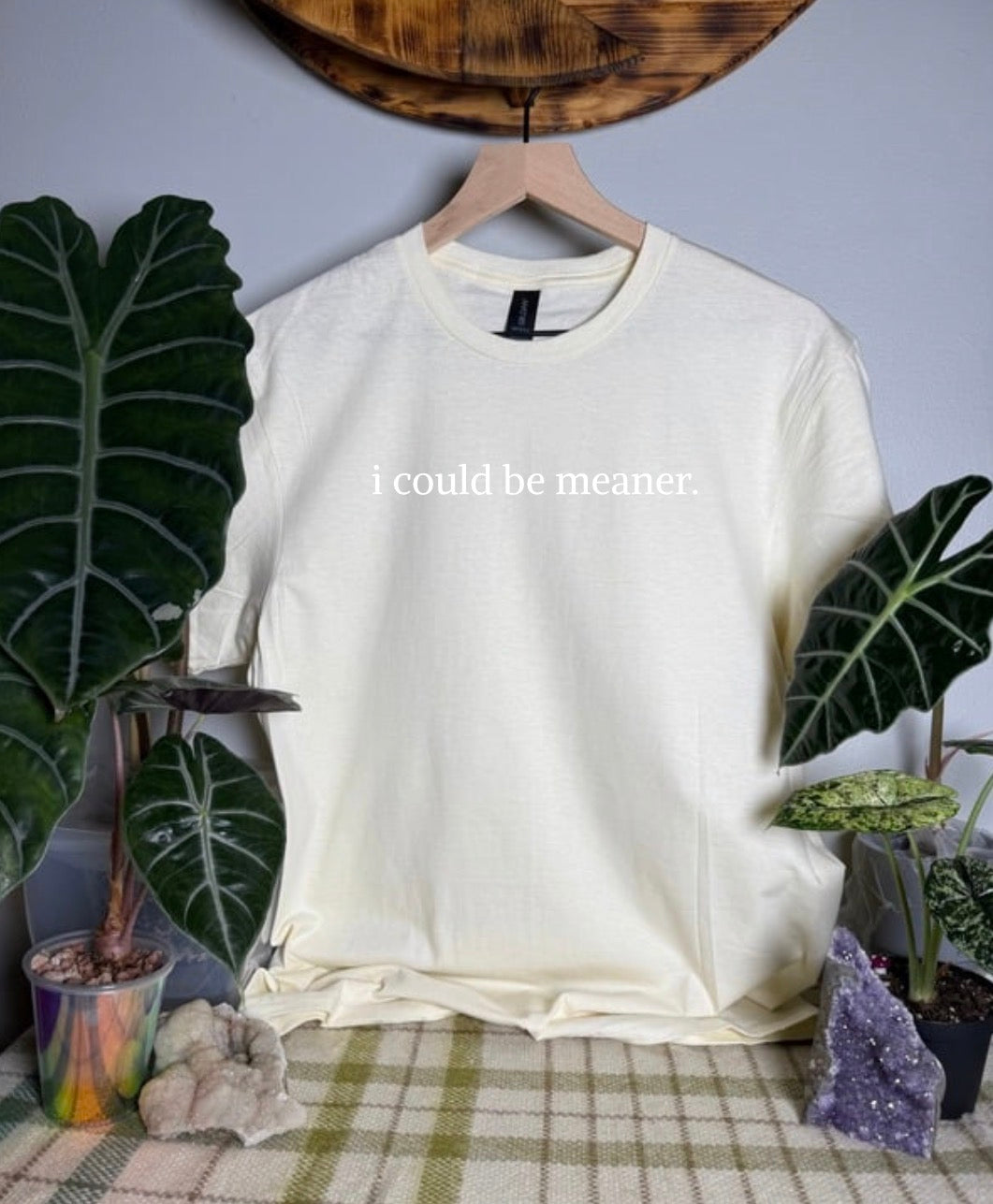 I Could Be Meaner Gildan Tops