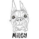 NyteSky Pet Portrait Apparel
